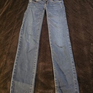 American Eagle Outfitters Blue Skinny Jeans